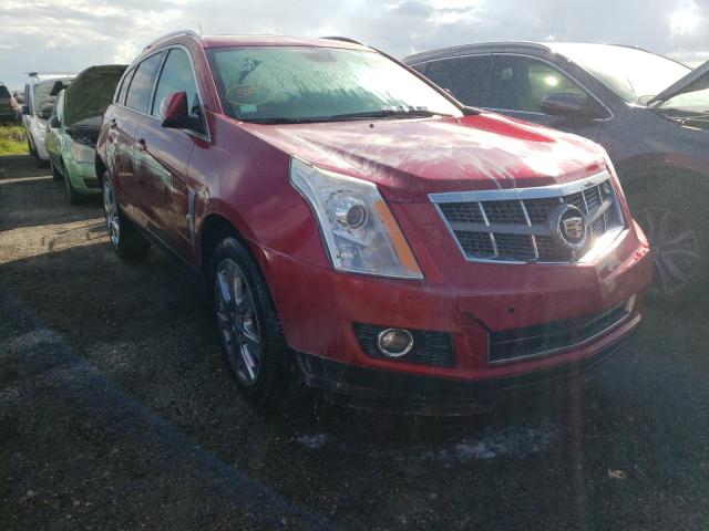 CADILLAC SRX PERFOR 2011 with VIN 3GYFNBEY2BS568844 - Photo from auction