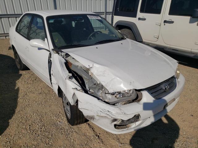 TOYOTA COROLLA CE 2001 with VIN 1NXBR12E11Z491844 - Photo from auction