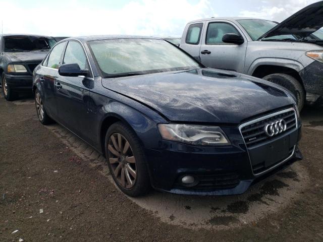 AUDI A4 PREMIUM 2010 with VIN WAUFFAFL3AN016954 - Photo from auction