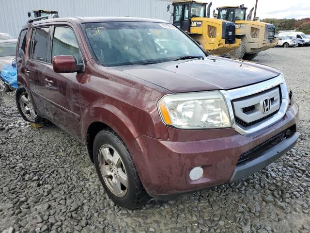 HONDA PILOT EX 2009 with VIN 5FNYF48489B047713 - Photo from auction