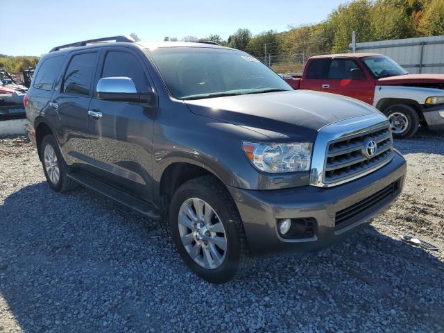 TOYOTA SEQUOIA PL 2016 with VIN 5TDDW5G15GS141049 - Photo from auction