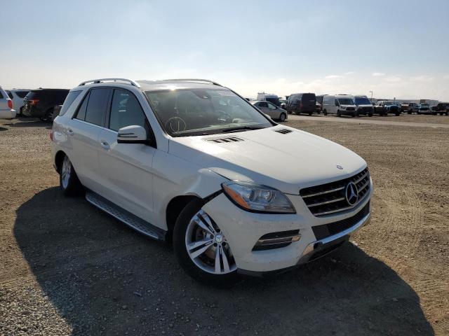 MERCEDES-BENZ ML 350 BLU 2013 with VIN 4JGDA2EB4DA217728 - Photo from auction