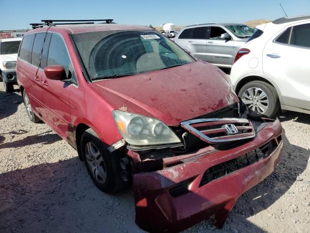 HONDA ODYSSEY EX 2005 with VIN 5FNRL38685B421739 - Photo from auction