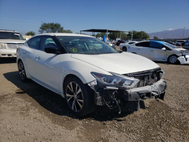 NISSAN MAXIMA 3.5 2017 with VIN 1N4AA6AP1HC377503 - Photo from auction
