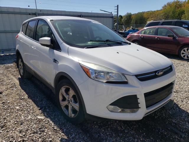 FORD ESCAPE SE 2014 with VIN 1FMCU0GX6EUD67114 - Photo from auction