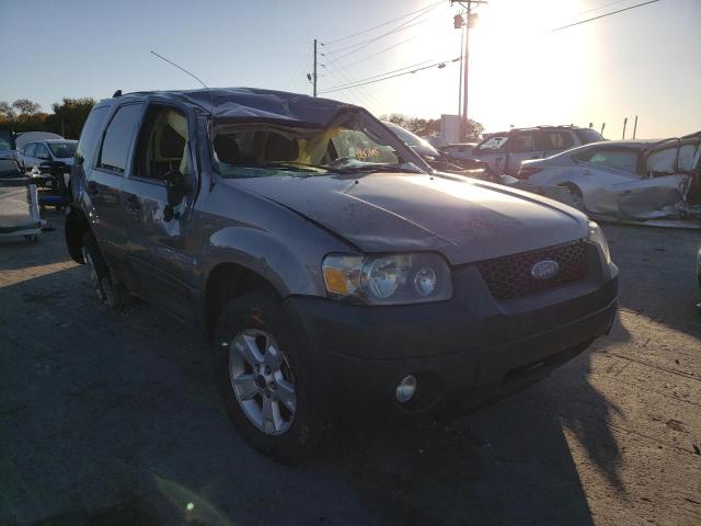 FORD ESCAPE XLT 2007 with VIN 1FMCU93107KB25309 - Photo from auction