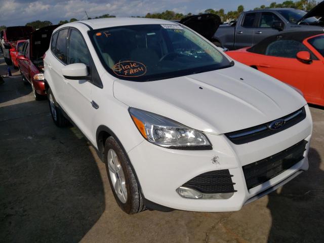 Photo 1 from auction – 2013 FORD ESCAPE SE with VIN 1FMCU0GX9DUA74144