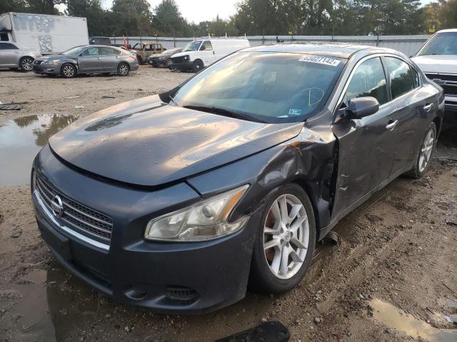 Photo 2 from auction – 2009 NISSAN MAXIMA S with VIN 1N4AA51E09C843660