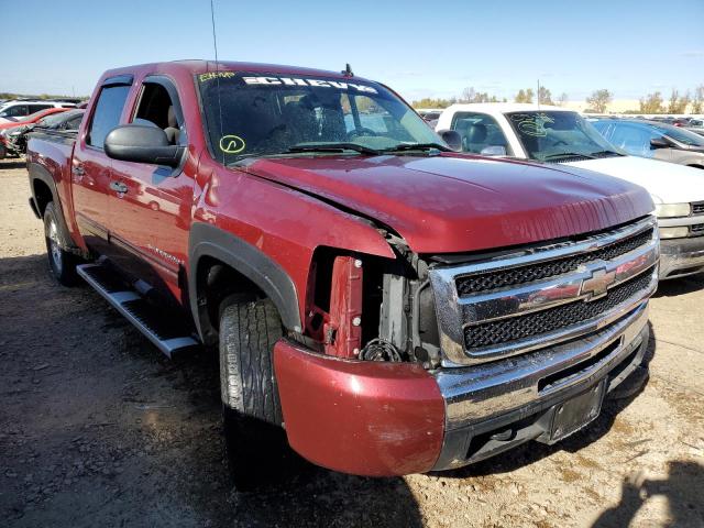 CHEVROLET SILVERADO 2009 with VIN 3GCEK23389G118940 - Photo from auction