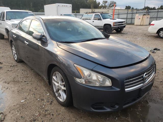 NISSAN MAXIMA S 2009 with VIN 1N4AA51E09C843660 - Photo from auction