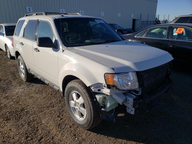 FORD ESCAPE XLT 2011 مع رقم تعريف المركبة 1FMCU9DG2BKC20420 - صورة من المزاد