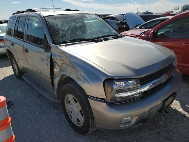 CHEVROLET TRAILBLAZE 2003 with VIN 1GNDS13S432362184 - Photo from auction