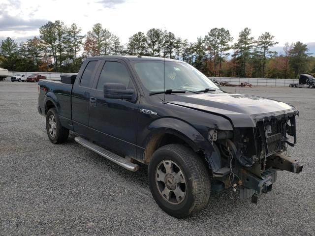 FORD F150 SUPER 2010 with VIN 1FTEX1C81AFD63141 - Photo from auction