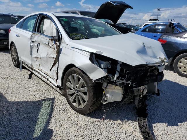 HYUNDAI SONATA SPO 2016 with VIN 5NPE34AF2GH429869 - Photo from auction