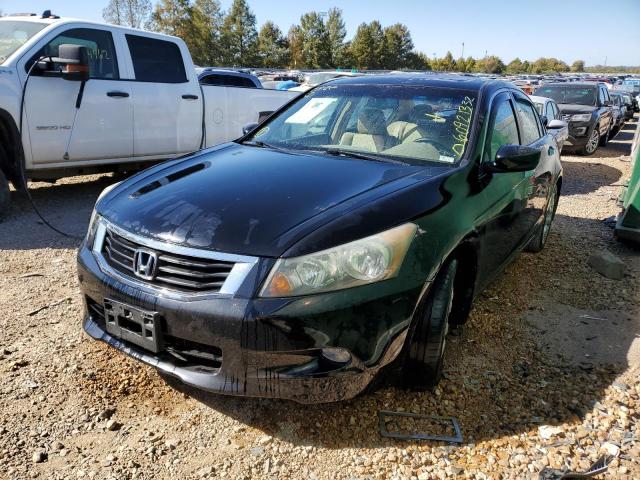 Photo 2 from auction – 2010 HONDA ACCORD EXL with VIN 1HGCP3F83AA018366