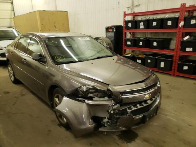CHEVROLET MALIBU LS 2010 with VIN 1G1ZB5EB2AF264885 - Photo from auction