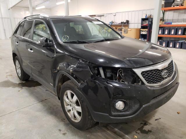 KIA SORENTO LX 2013 with VIN 5XYKTDA61DG398944 - Photo from auction