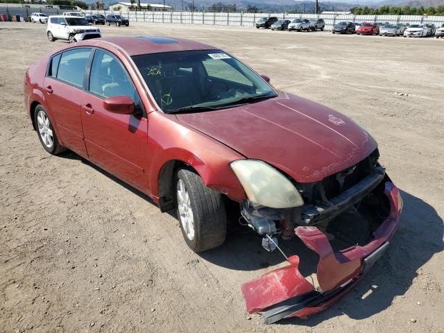NISSAN MAXIMA SE 2004 with VIN 1N4BA41E24C900416 - Photo from auction
