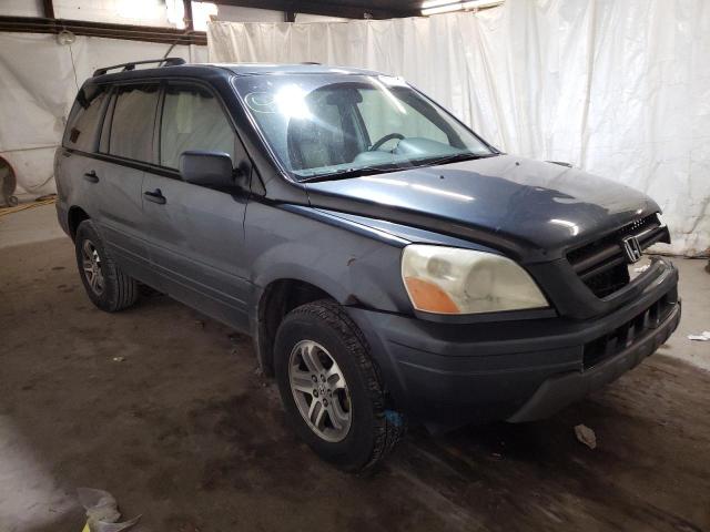 HONDA PILOT EXL 2005 with VIN 5FNYF18555B051817 - Photo from auction