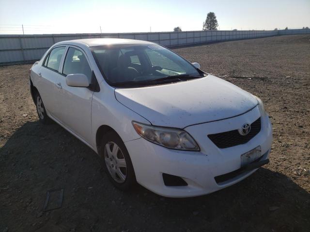 TOYOTA COROLLA BA 2009 with VIN JTDBL40E39J045458 - Photo from auction