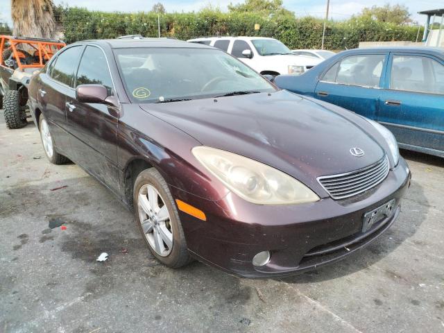LEXUS ES 330 2005 with VIN JTHBA30G155079370 - Photo from auction