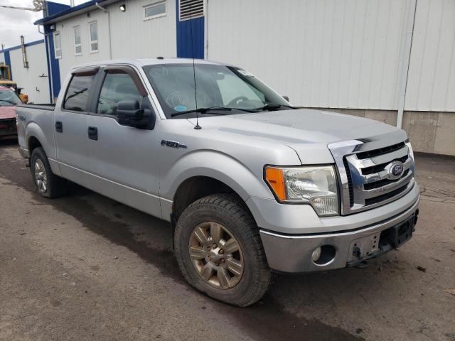 FORD F150 SUPER 2010 with VIN 1FTEW1E88AFA37482 - Photo from auction