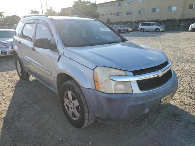 CHEVROLET EQUINOX LS 2005 with VIN 2CNDL13F556010063 - Photo from auction
