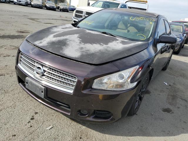 Photo 2 from auction – 2010 NISSAN MAXIMA S with VIN 1N4AA5APXAC825527