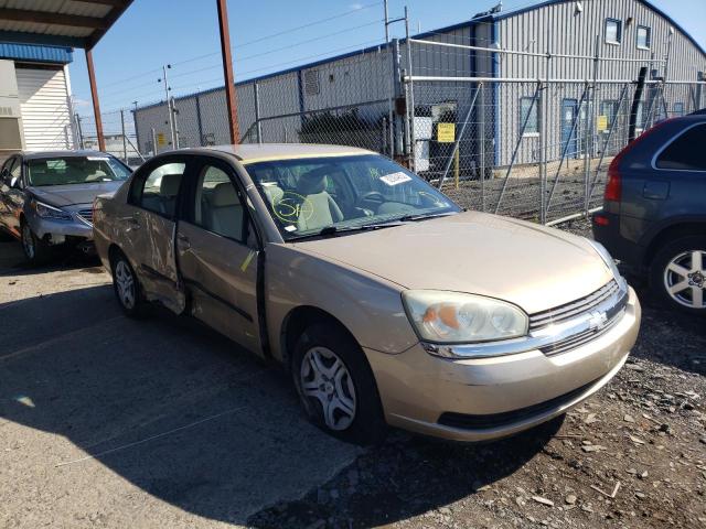 CHEVROLET MALIBU 2004 with VIN 1G1ZS52F54F212937 - Photo from auction