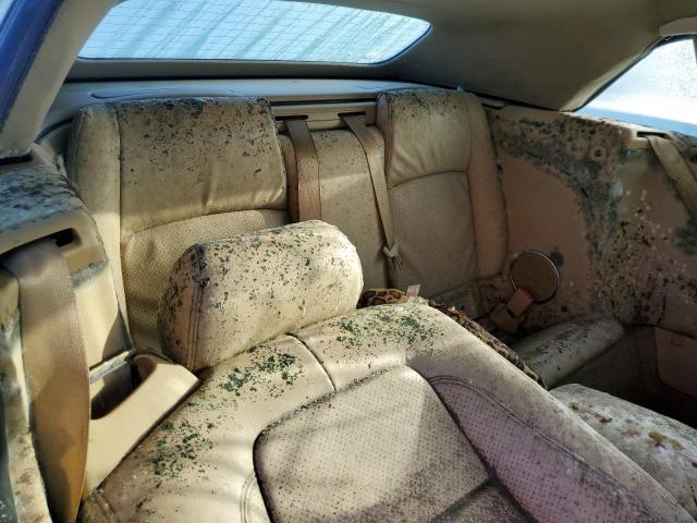 Photo 6 from auction – 2007 JAGUAR XK with VIN SAJWA44B175B16304