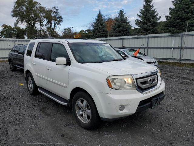 Photo 1 from auction – 2009 HONDA PILOT EXL with VIN 5FNYF48549B036605