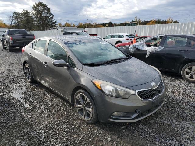 KIA FORTE EX 2014 with VIN KNAFZ4A82E5079447 - Photo from auction