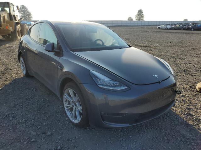 TESLA MODEL Y 2021 with VIN 5YJYGDEE4MF119168 - Photo from auction