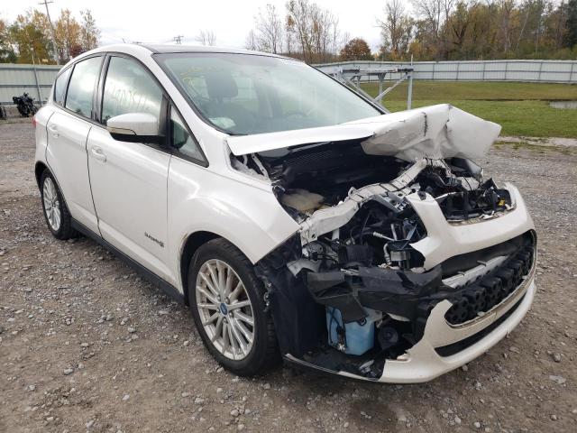FORD C-MAX SE 2013 with VIN 1FADP5AU3DL511305 - Photo from auction