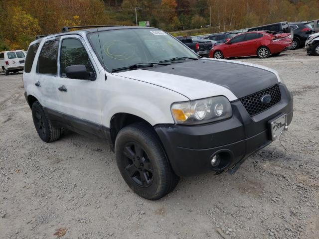 FORD ESCAPE XLT 2005 with VIN 1FMYU93155KB75481 - Photo from auction