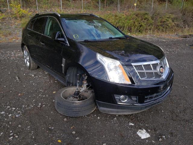 CADILLAC SRX PERFOR 2012 with VIN 3GYFNEE38CS591830 - Photo from auction