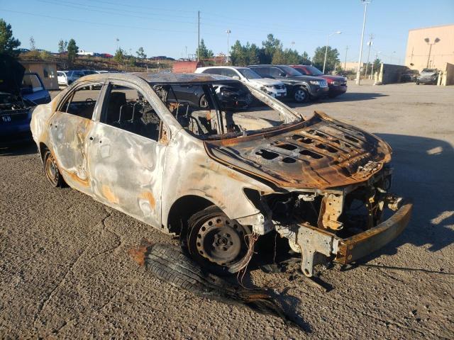TOYOTA COROLAA 2010 with VIN 2T1BU4EE4AC491253 - Photo from auction