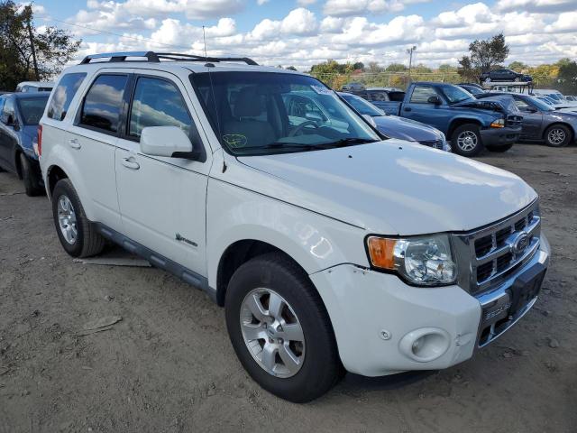 FORD ESCAPE HYB 2010 with VIN 1FMCU4K36AKB20113 - Photo from auction