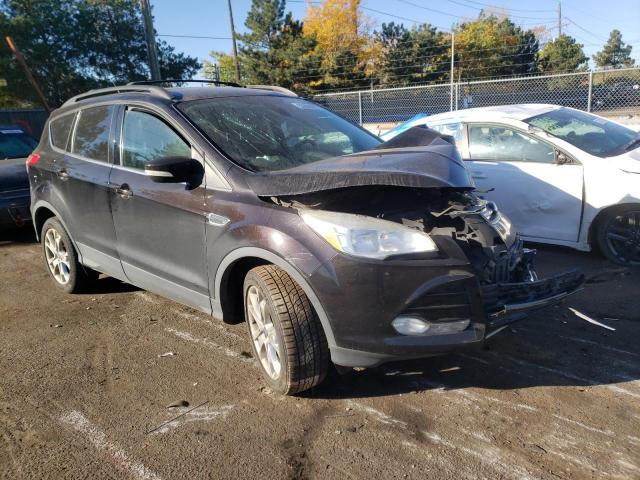 FORD ESCAPE SEL 2013 with VIN 1FMCU0HX8DUC22573 - Photo from auction