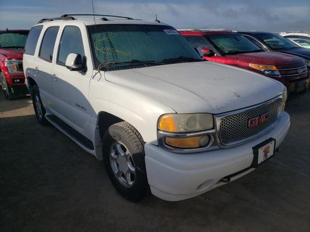 GMC YUKON DENA 2003 with VIN 1GKEK63U63J157682 - Photo from auction