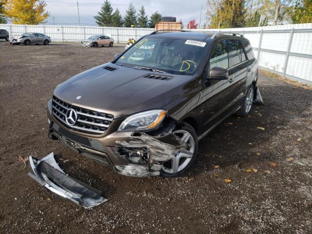 Photo 2 from auction – 2012 MERCEDES-BENZ ML 350 BLU with VIN 4JGDA2EB3CA043813