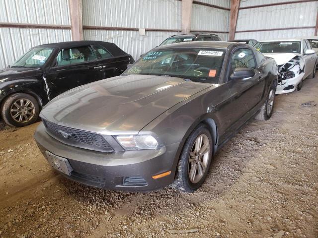 Photo 2 from auction – 2010 FORD MUSTANG with VIN 1ZVBP8AN8A5156060