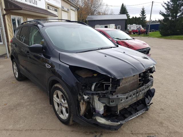 FORD ESCAPE SE 2014 with VIN 1FMCU9G90EUD46913 - Photo from auction