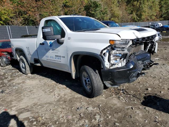 CHEVROLET SILVERADO 2020 with VIN 1GC0WLE78LF206626 - Photo from auction