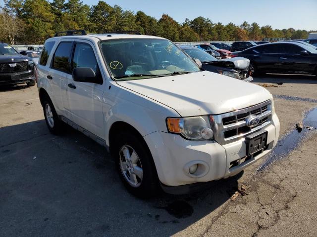 FORD ESCAPE 2011 with VIN 1FMCU9DGXBKC35666 - Photo from auction