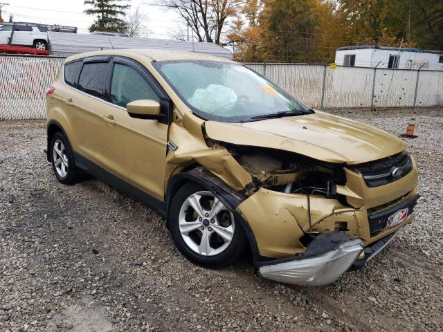 FORD ESCAPE SE 2014 with VIN 1FMCU9G97EUD92786 - Photo from auction
