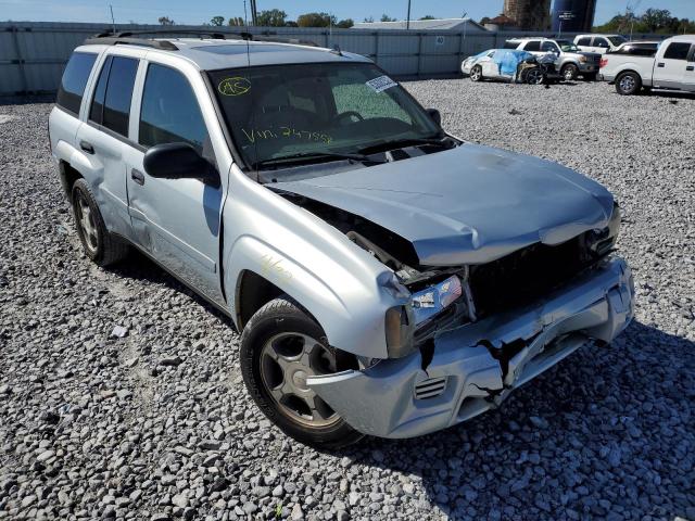 CHEVROLET TRAILBLAZE 2007 with VIN 1GNES13M972247558 - Photo from auction