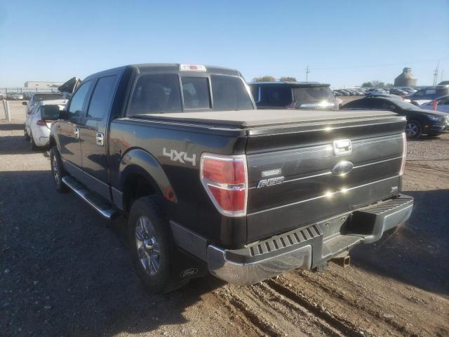 Photo 3 from auction – 2010 FORD F150 SUPER with VIN 1FTFW1EV3AFD55830