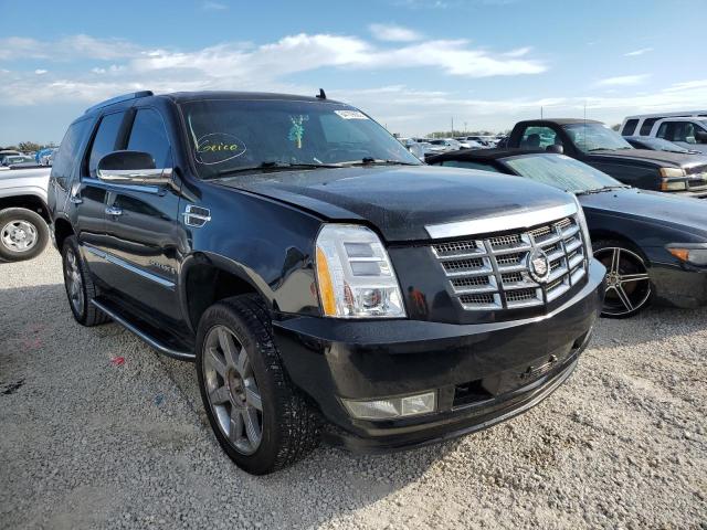 CADILLAC ESCALADE L 2008 with VIN 1GYEC63878R221873 - Photo from auction