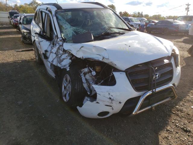HYUNDAI SANTA FE G 2009 with VIN 5NMSG13D99H306040 - Photo from auction